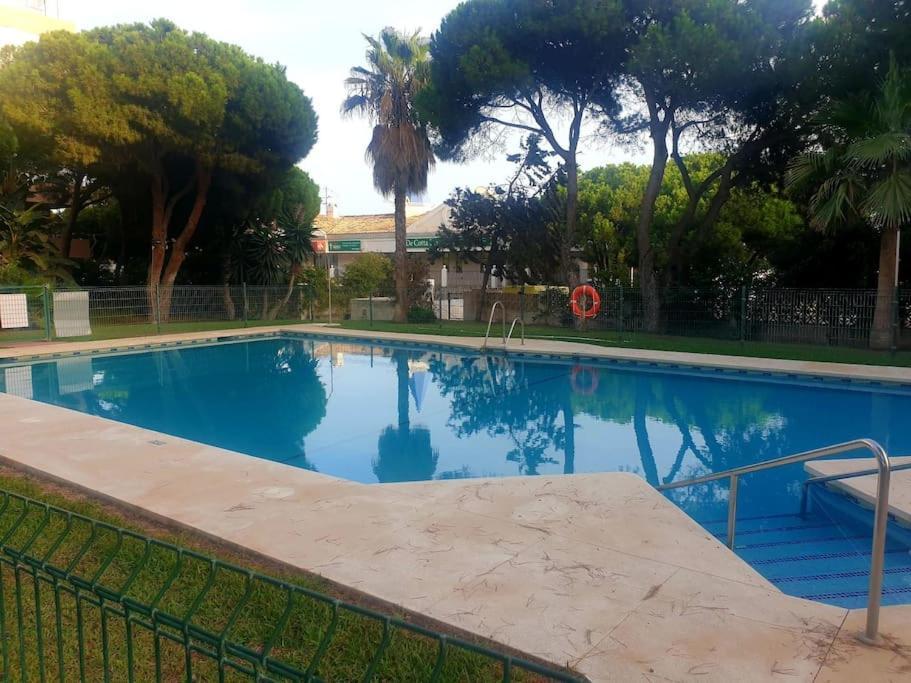 Precioso Estudio Con Piscina A 200M Del Mar マルベーリャ エクステリア 写真