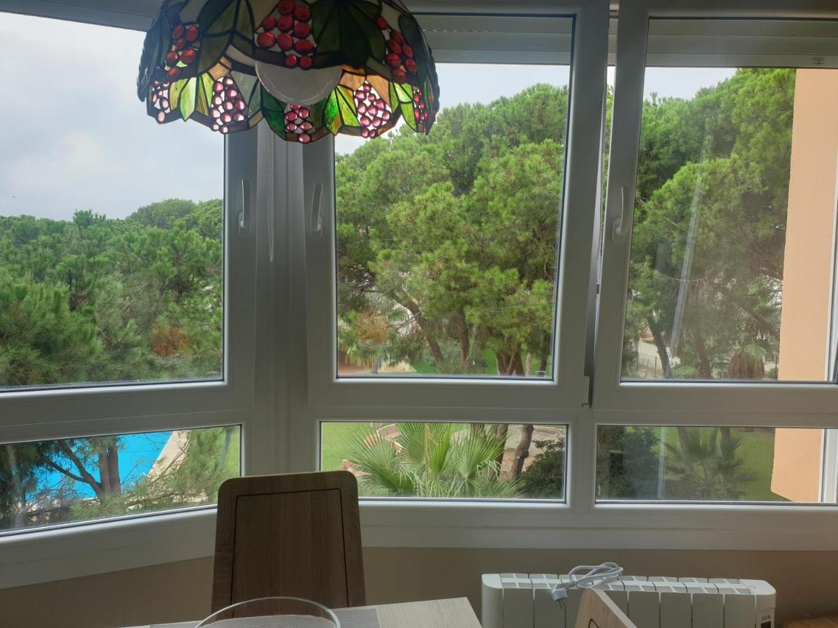 Precioso Estudio Con Piscina A 200M Del Mar マルベーリャ エクステリア 写真